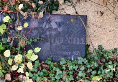 Libořice, Omnium, 2020