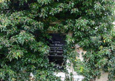 Libořice, Omnium, 2020