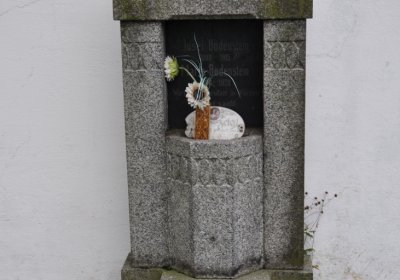 Nepomyšl, Omnium, 2020