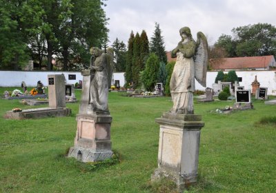 Nepomyšl, Omnium, 2020