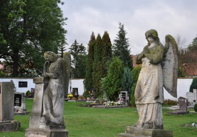 Nepomyšl, Omnium, 2020