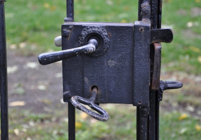 Nepomyšl, Omnium, 2020