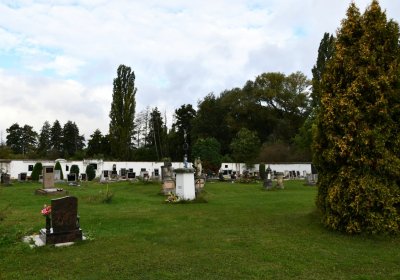 Nepomyšl, Omnium, 2020