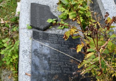 Nepomyšl, Omnium, 2020