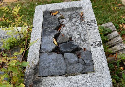 Nepomyšl, Omnium, 2020