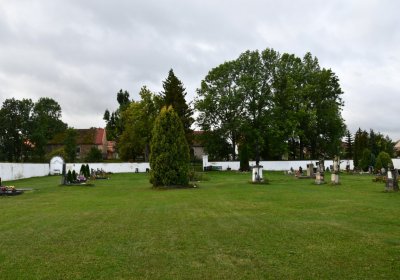 Nepomyšl, Omnium, 2020