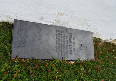 Nepomyšl, Omnium, 2020