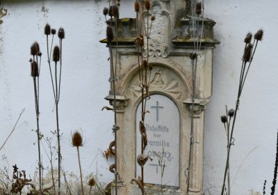 Nepomyšl, Omnium, 2020