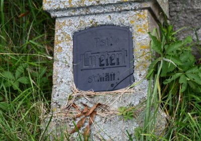 Nepomyšl, Omnium, 2020