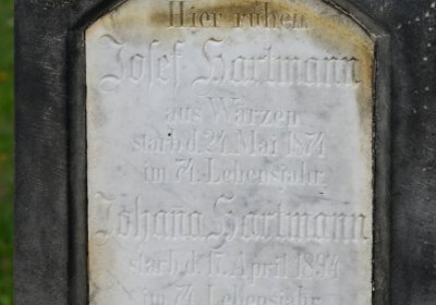 Nepomyšl, Omnium, 2020