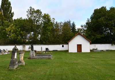 Nepomyšl, Omnium, 2020