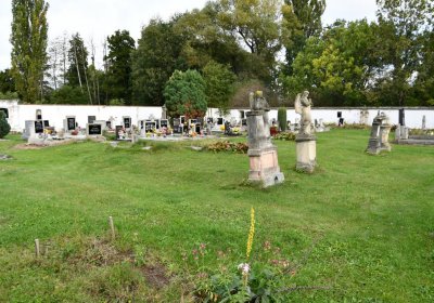 Nepomyšl, Omnium, 2020