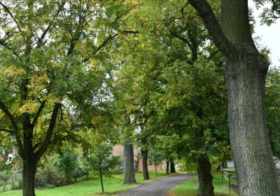 Nepomyšl, Omnium, 2020