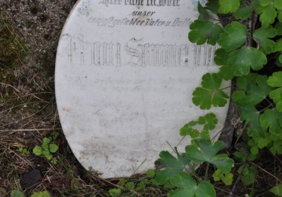 Podbořanský Rohozec, Omnium, 2020