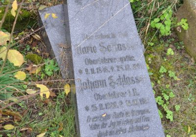 Podbořanský Rohozec, Omnium, 2020