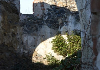 Břehovská Dáša, 2017