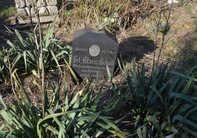 Břehovská Dáša, 2017