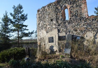 Břehovská Dáša, 2017