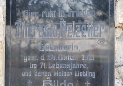 Břehovská Dáša, 2017