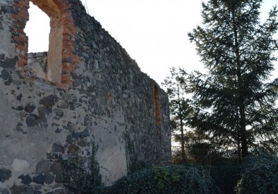 Břehovská Dáša, 2017