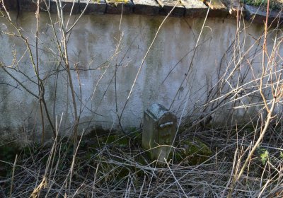 Břehovská Dáša, 2017