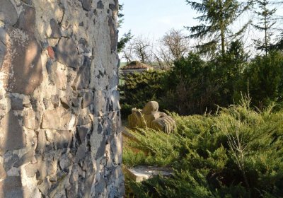 Břehovská Dáša, 2017