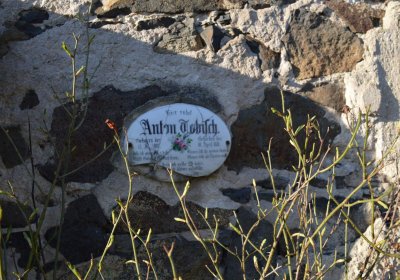 Břehovská Dáša, 2017