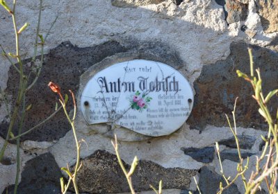 Břehovská Dáša, 2017