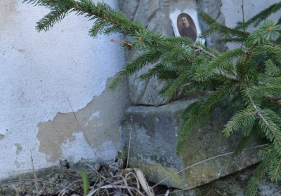 Břehovská Dáša, 2017