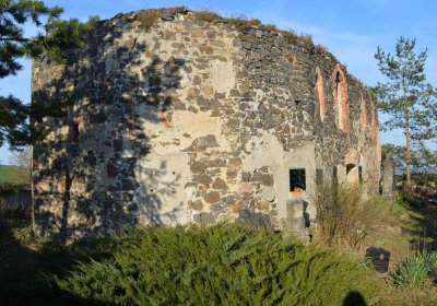 Břehovská Dáša, 2017