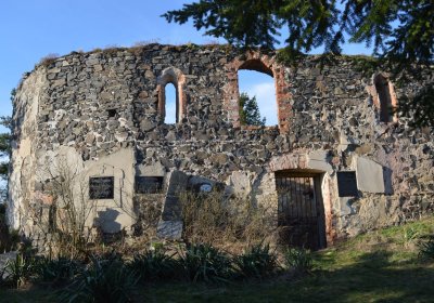 Břehovská Dáša, 2017