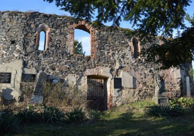 Břehovská Dáša, 2017