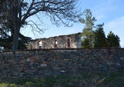 Břehovská Dáša, 2017