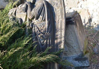 Břehovská Dáša, 2017