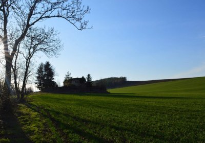 Břehovská Dáša, 2017