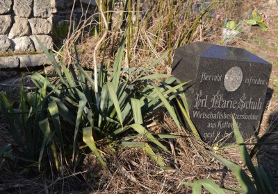 Břehovská Dáša, 2017