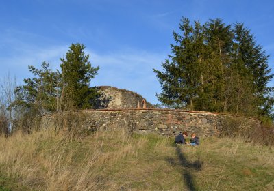 Břehovská Dáša, 2017