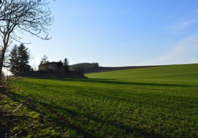 Břehovská Dáša, 2017