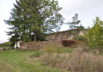 Chotěbudice, Omnium, 2020