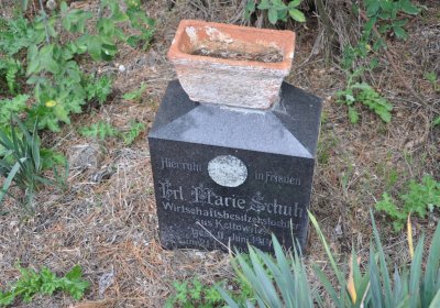 Chotěbudice, Omnium, 2020