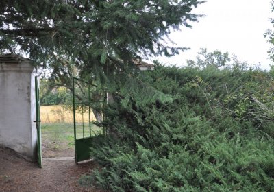 Chotěbudice, Omnium, 2020