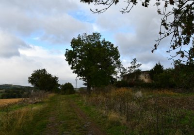 Chotěbudice, Omnium, 2020