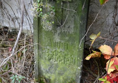 Chotěbudice, Omnium, 2020