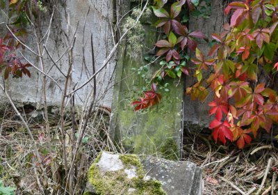 Chotěbudice, Omnium, 2020