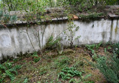 Chotěbudice, Omnium, 2020