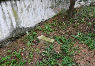 Chotěbudice, Omnium, 2020