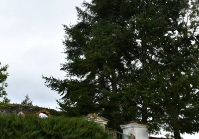 Chotěbudice, Omnium, 2020