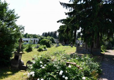 Blažim, Omnium, 2018