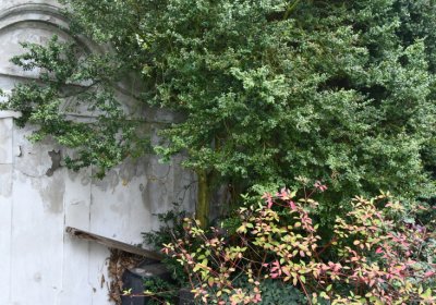 Blažim, Omnium, 2020