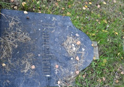 Blažim, Omnium, 2020